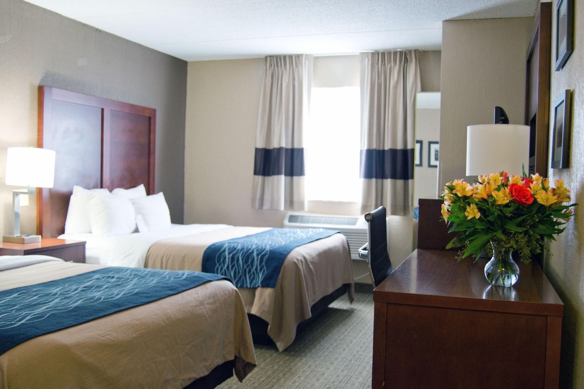 Comfort Inn University Amherst Eksteriør bilde