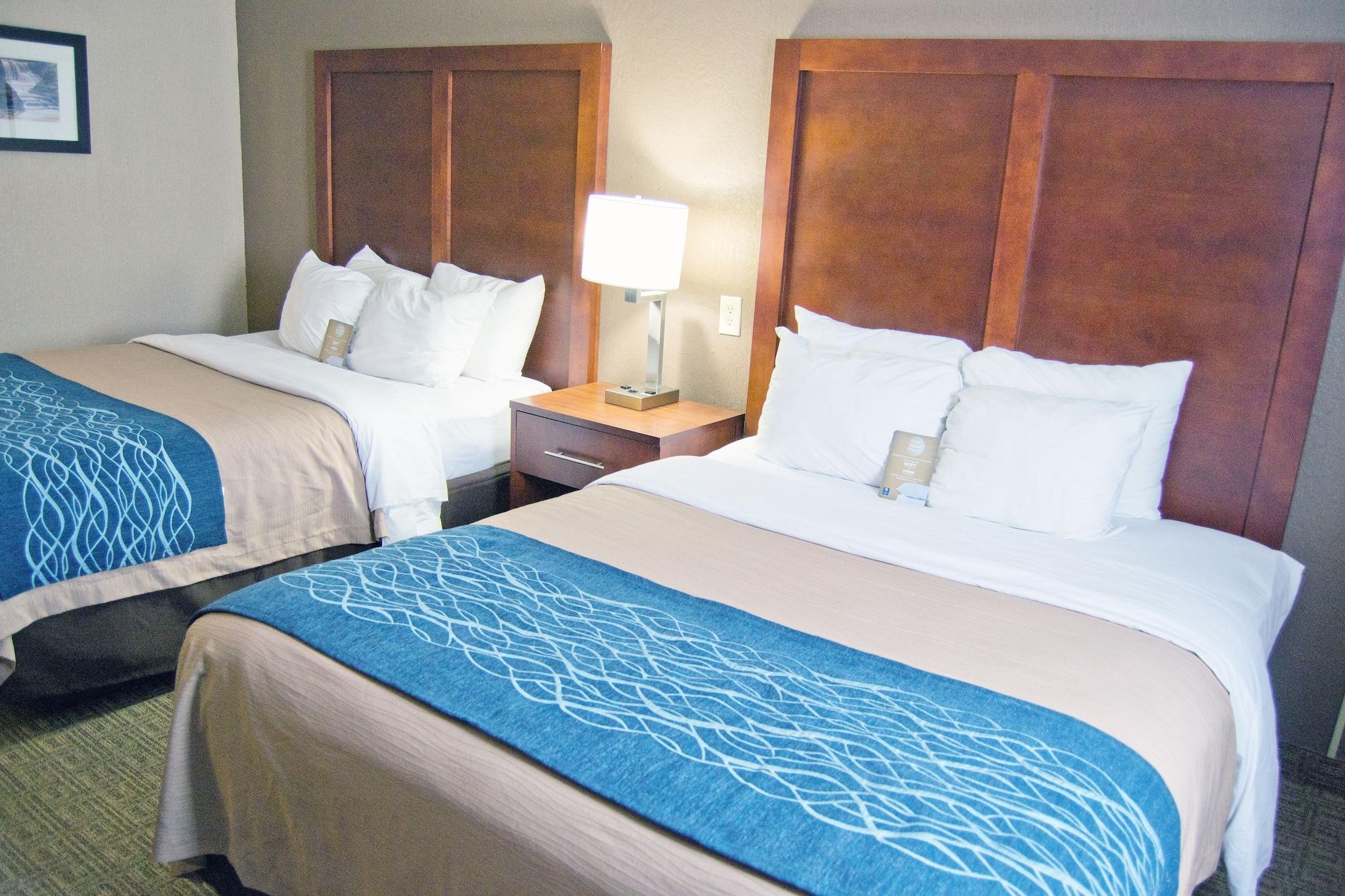 Comfort Inn University Amherst Eksteriør bilde