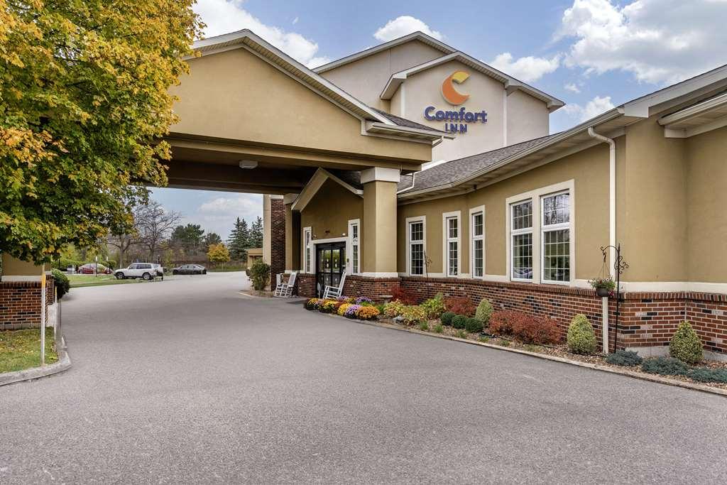 Comfort Inn University Amherst Eksteriør bilde